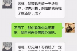 乐山为什么选择专业追讨公司来处理您的债务纠纷？